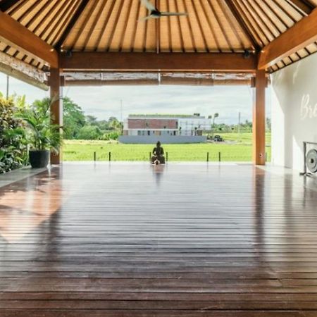 Bali Harmony Retreat Aparthotel Canggu Εξωτερικό φωτογραφία