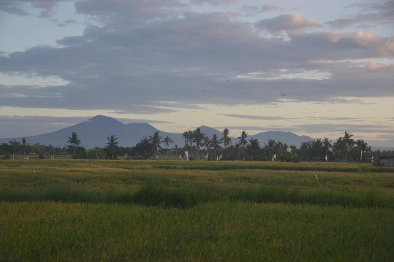Bali Harmony Retreat Aparthotel Canggu Εξωτερικό φωτογραφία
