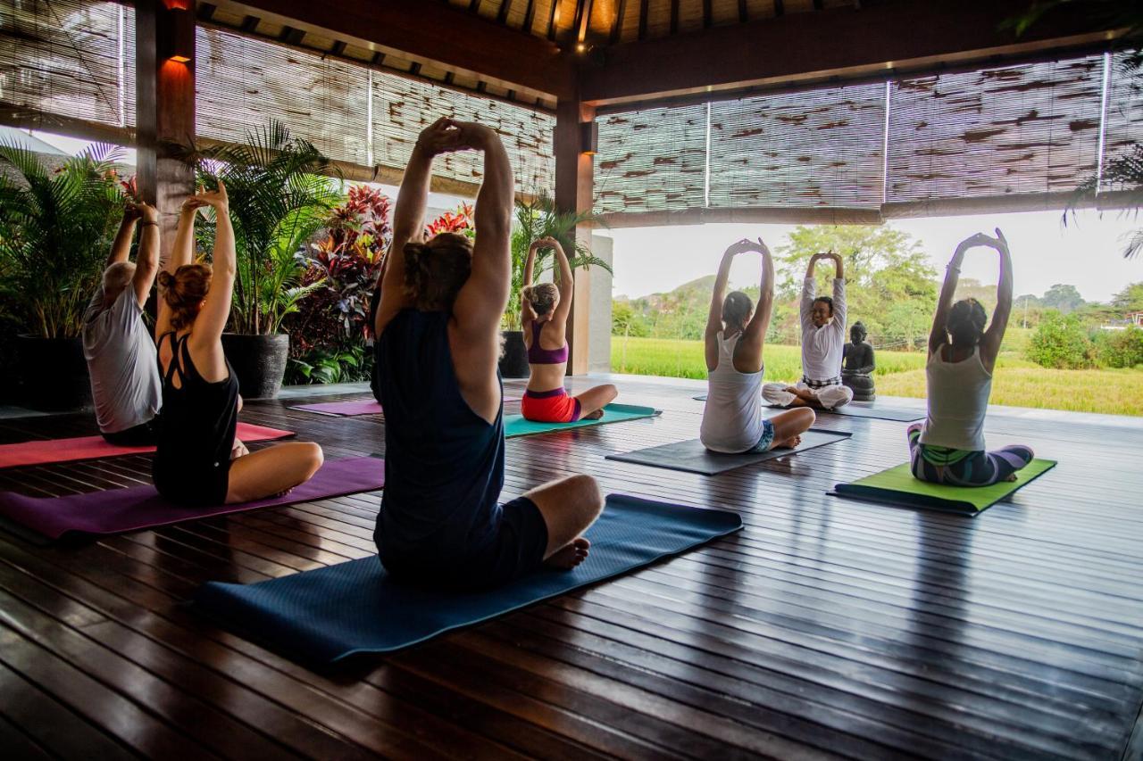 Bali Harmony Retreat Aparthotel Canggu Εξωτερικό φωτογραφία