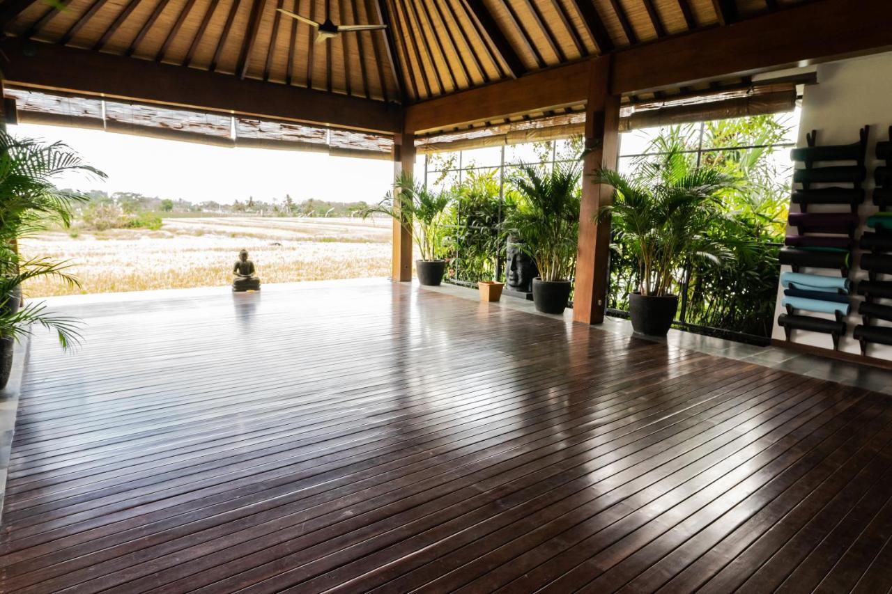 Bali Harmony Retreat Aparthotel Canggu Εξωτερικό φωτογραφία